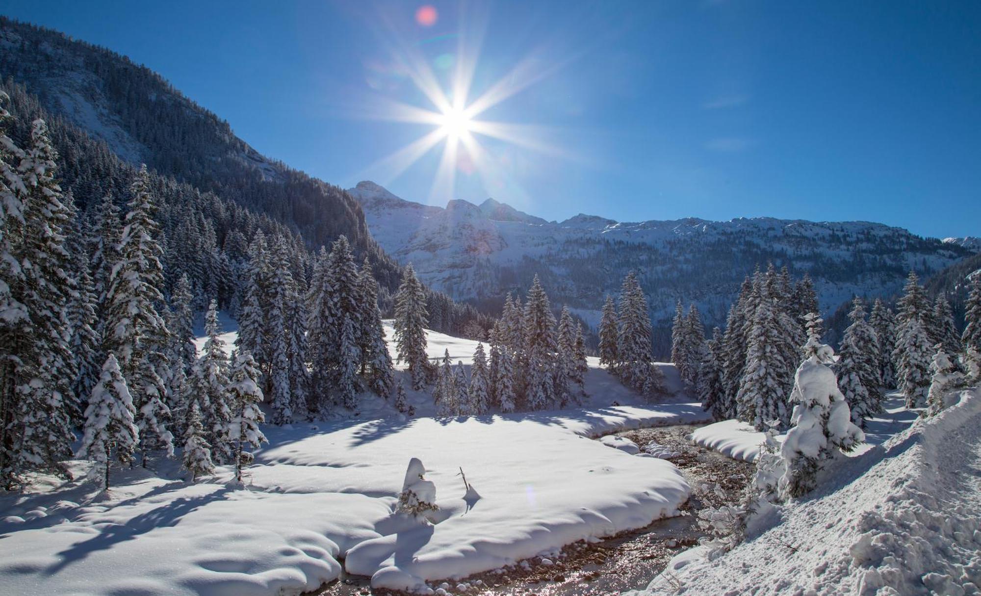 Alpin Life Resort Luerzerhof Untertauern Exterior photo